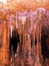 Florida Caverns