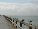 Old Seven Mile Bridge