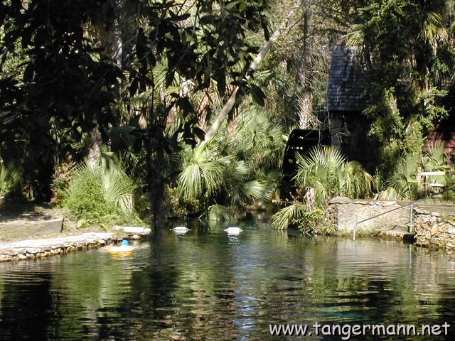 Juniper Springs