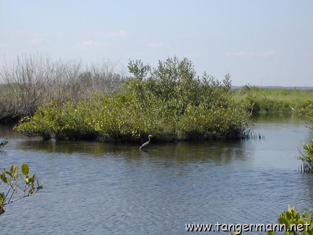 Black Point Wildlife Drive