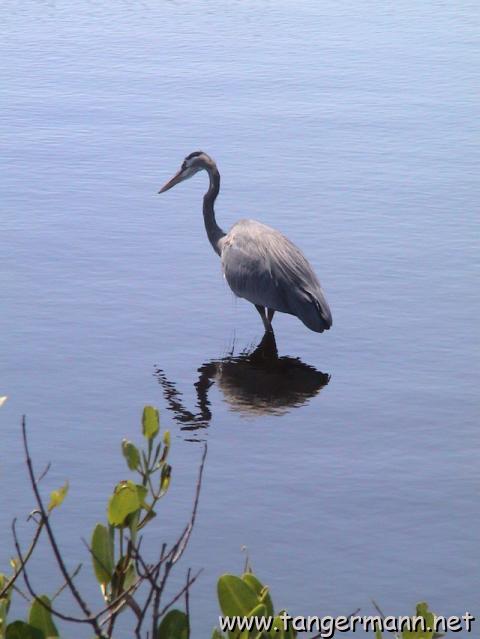 Black Point Wildlife Drive