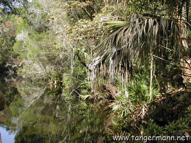 Homosassa Springs State Park