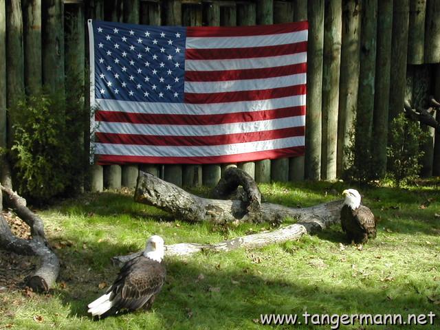 Homosassa Springs State Park