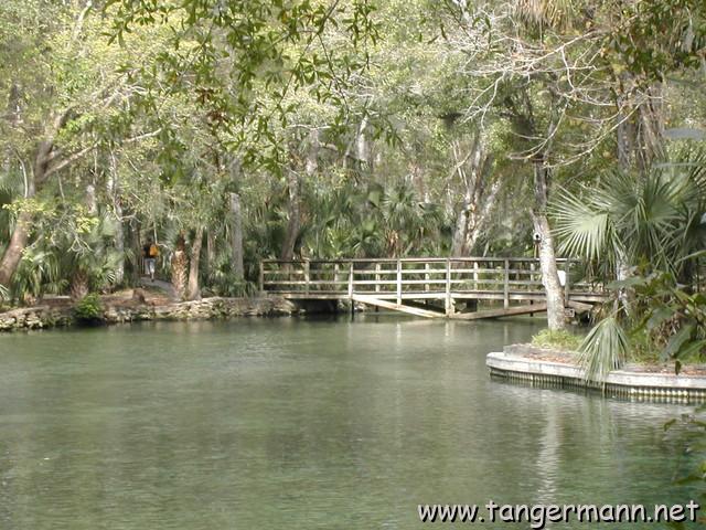 Wekiva Springs