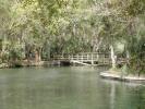 Wekiva Springs