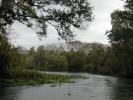 Wekiva Springs