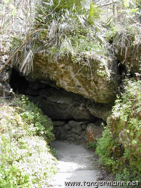 Florida Caverns