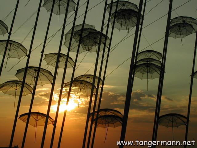 Drahtschirme am Ufer beim Interni-Club